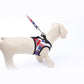 Pet Traction Harness - 2ufast