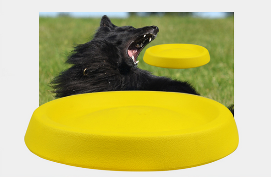 Pet Dogs Throwing Plastic Toys - 2ufast