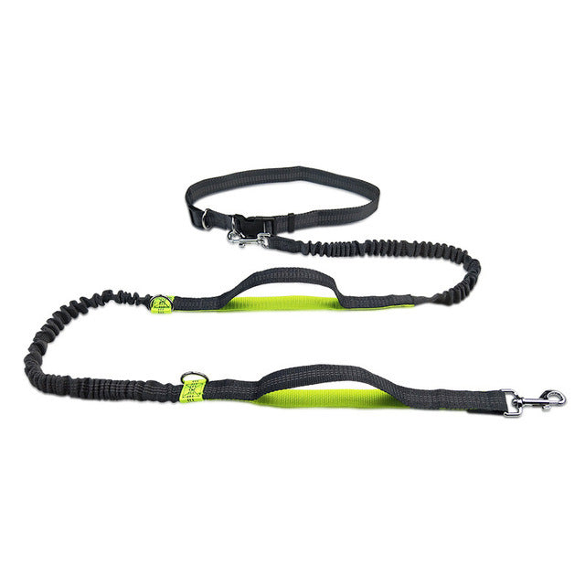 Jogging Adjustable Pet Leash - 2ufast