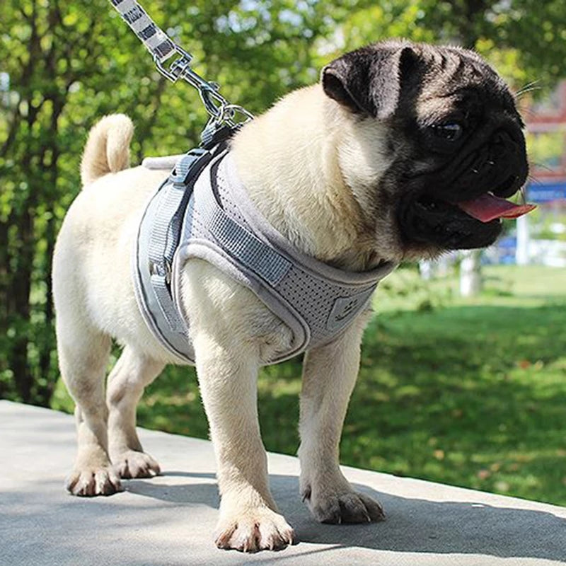 Reflective And Breathable Pet Harness - 2ufast