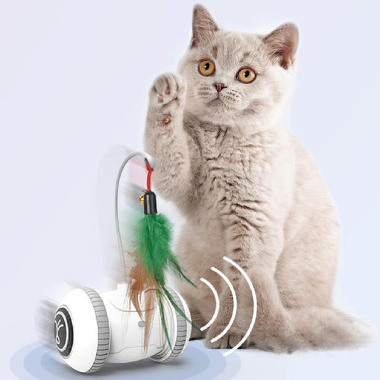 Interactive Cat Toy With Interchangeable Heads - 2ufast